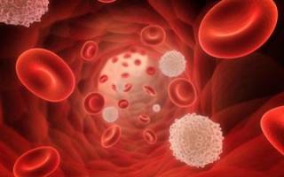 Анализ крови на гликозилированный гемоглобин как сдавать