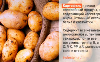 Картофель и холестерин в крови