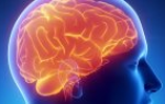 Болезни сосудов головного мозга лечение народными средствами