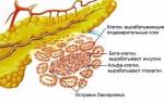 Какие ферменты выделяет поджелудочная железа