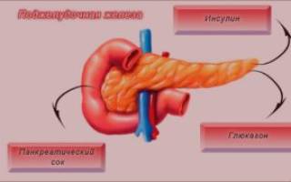 Что делает инсулин с глюкозой