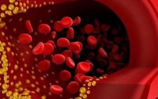 Показатель лпнп в биохимическом анализе крови