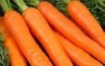 Вареная морковь гликемический индекс